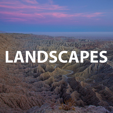Portfolio_Landscapes #1